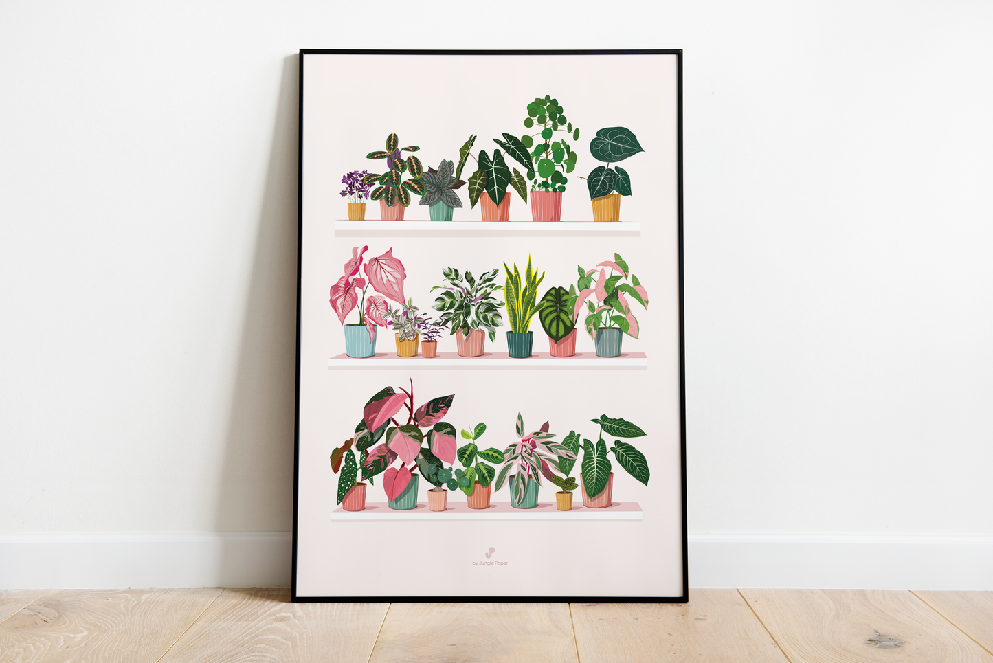 Affiche Plant shelf