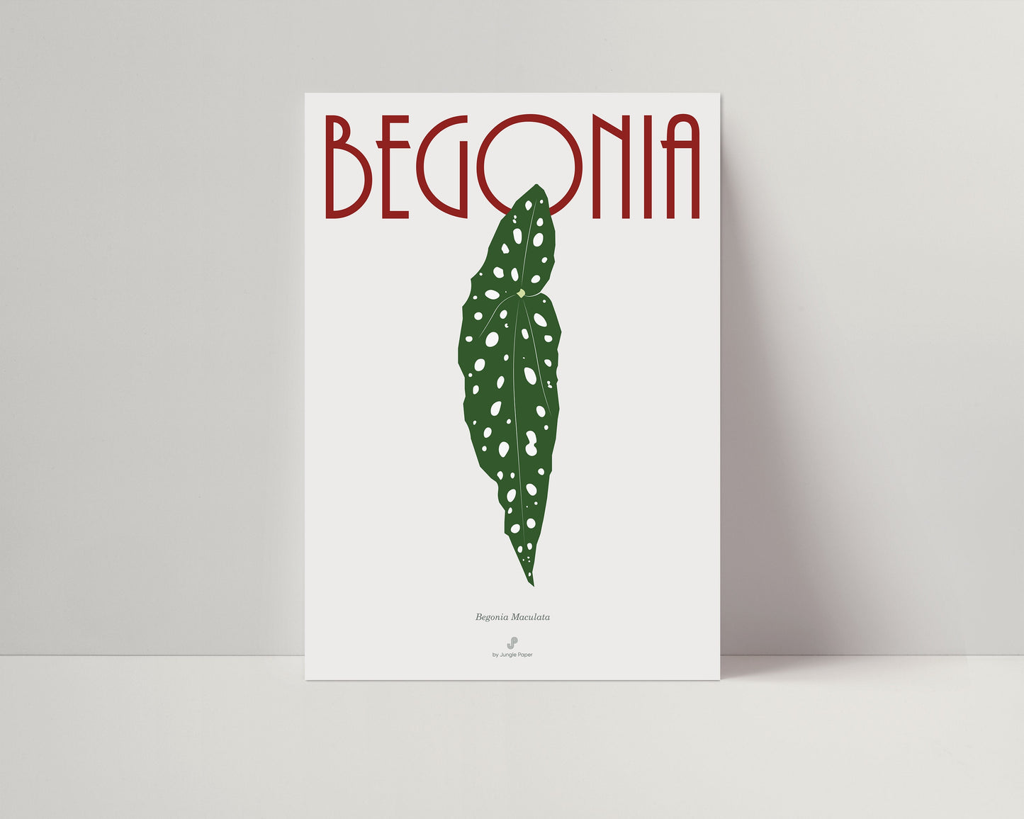 Affiche Bégonia Maculata Jungle Paper
