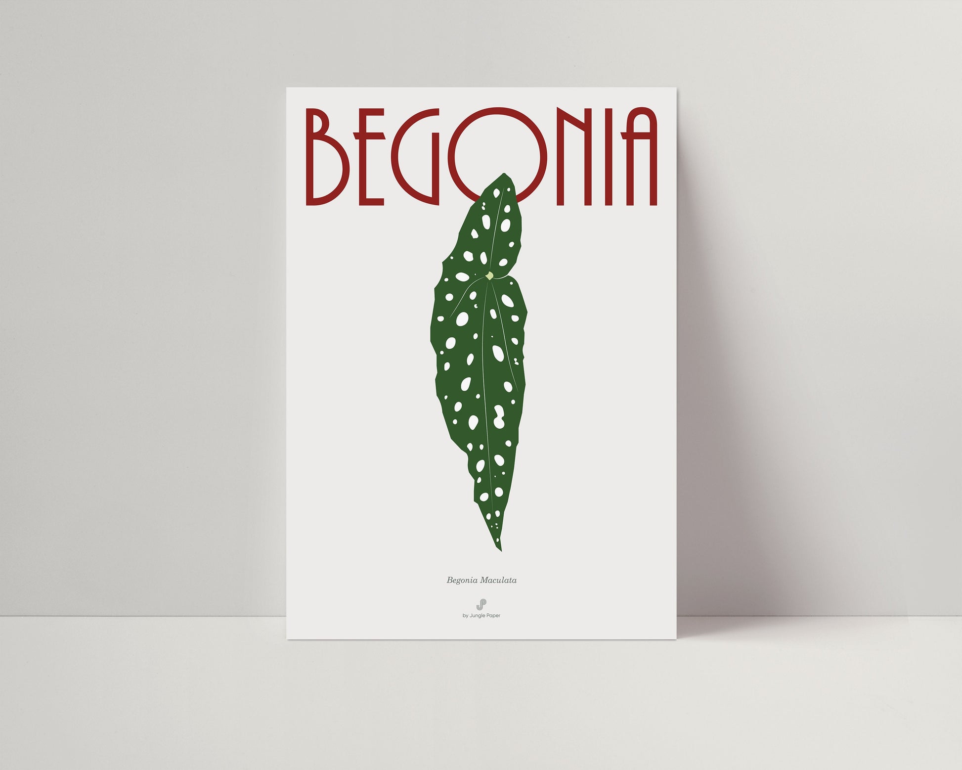 Affiche Bégonia Maculata Jungle Paper