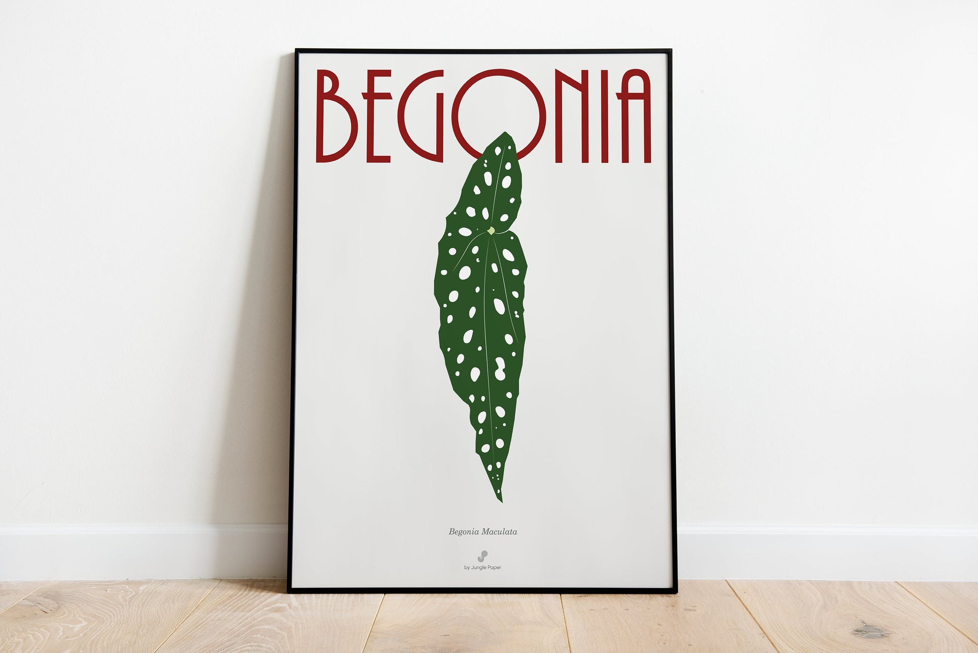 Affiche Bégonia Maculata Jungle Paper