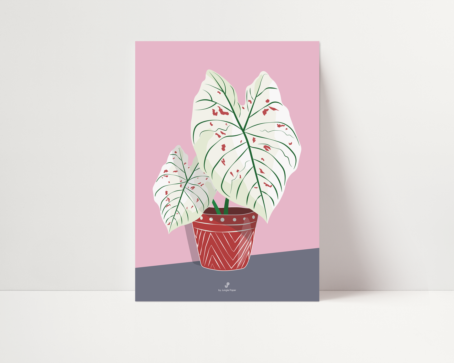 Affiche Caladium Strawberry star Jungle Paper