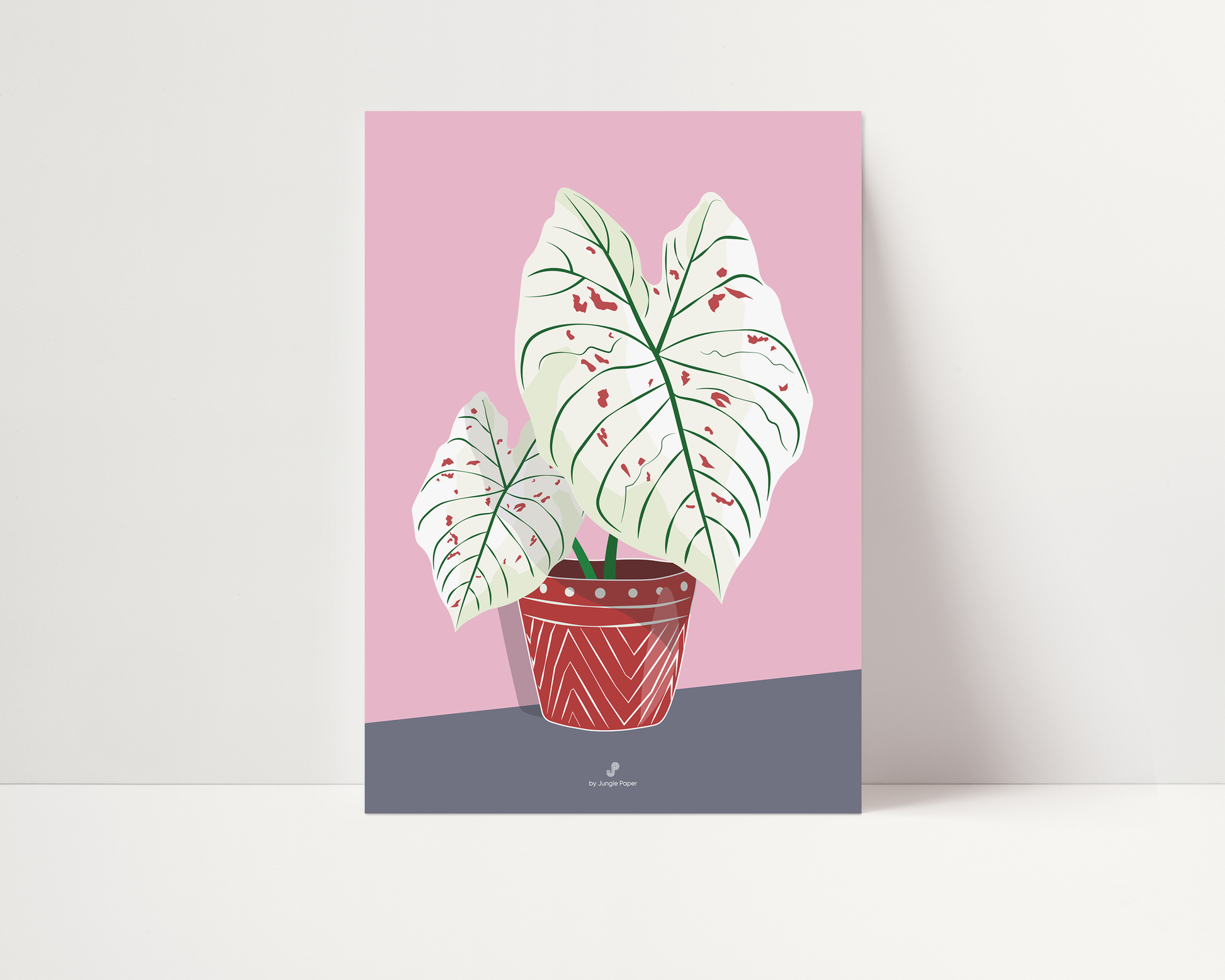 Affiche Caladium Strawberry star Jungle Paper