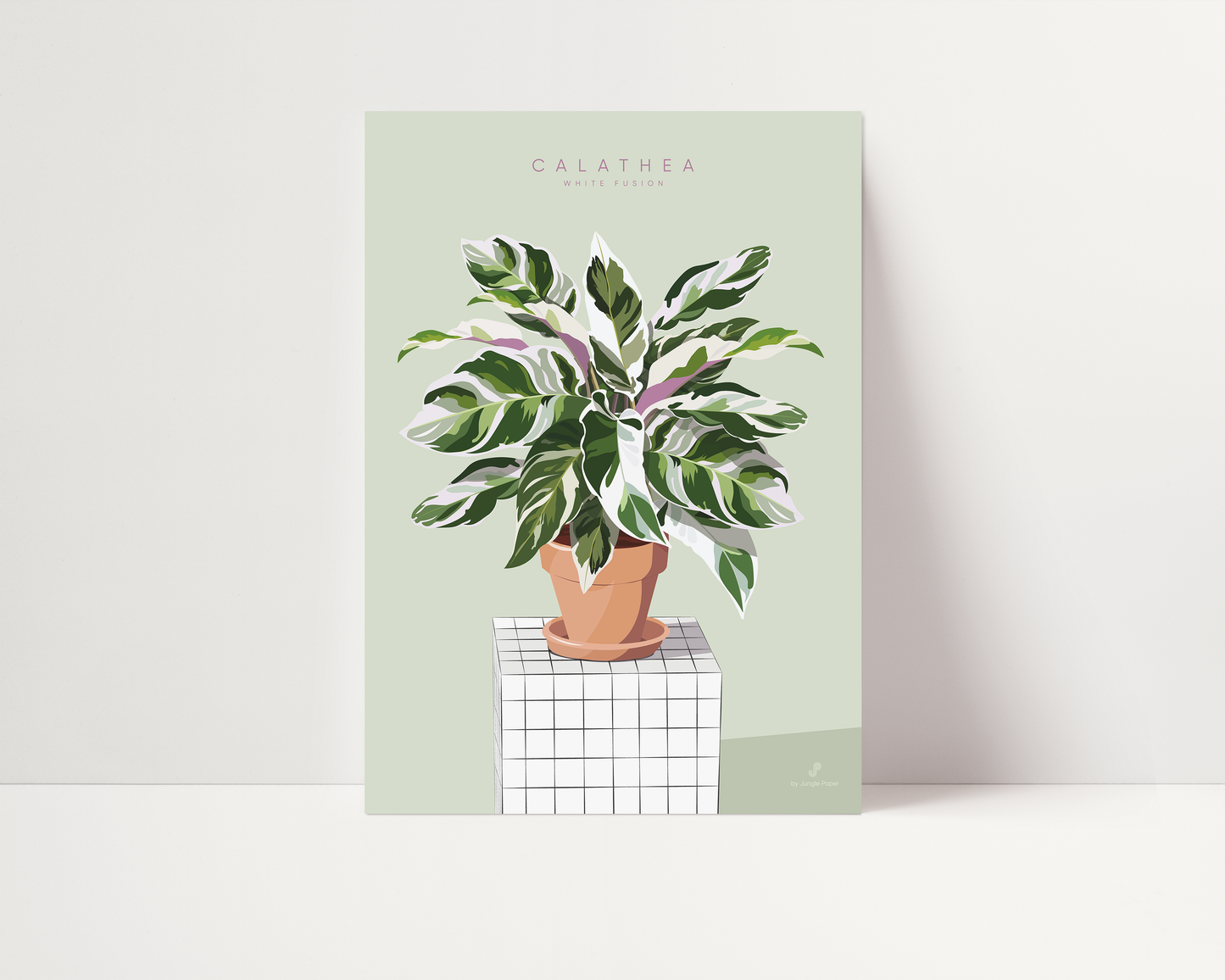 Affiche Calathea White Fusion Jungle Paper