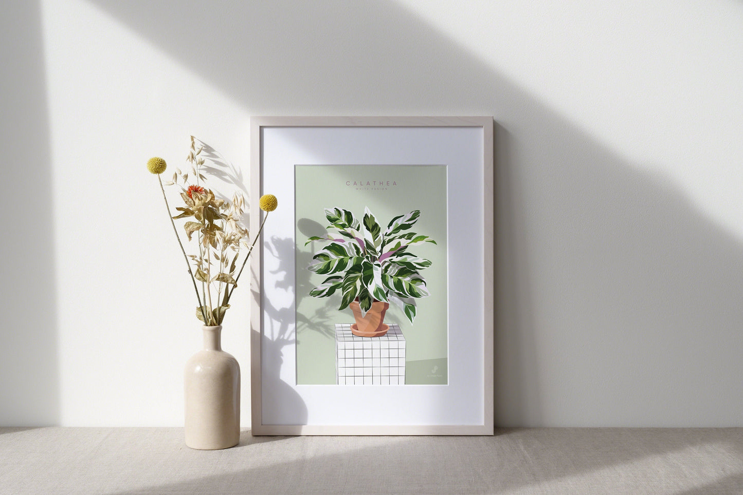 Affiche Calathea White Fusion Jungle Paper