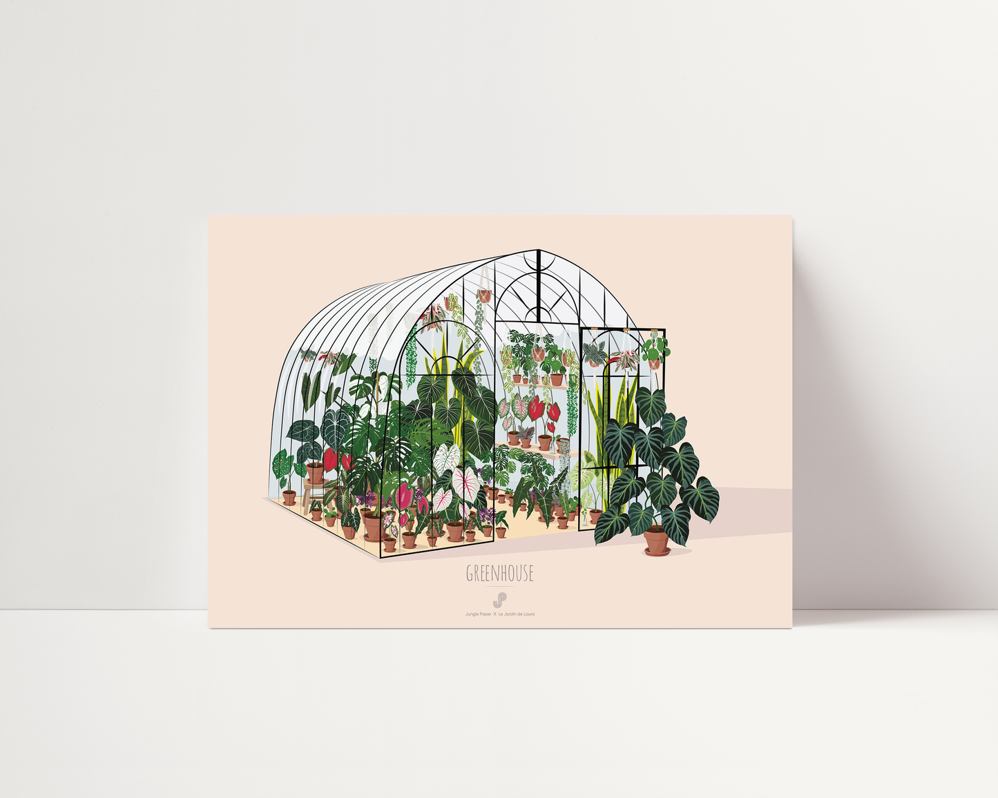 Affiche Serre de plantes Jungle Paper