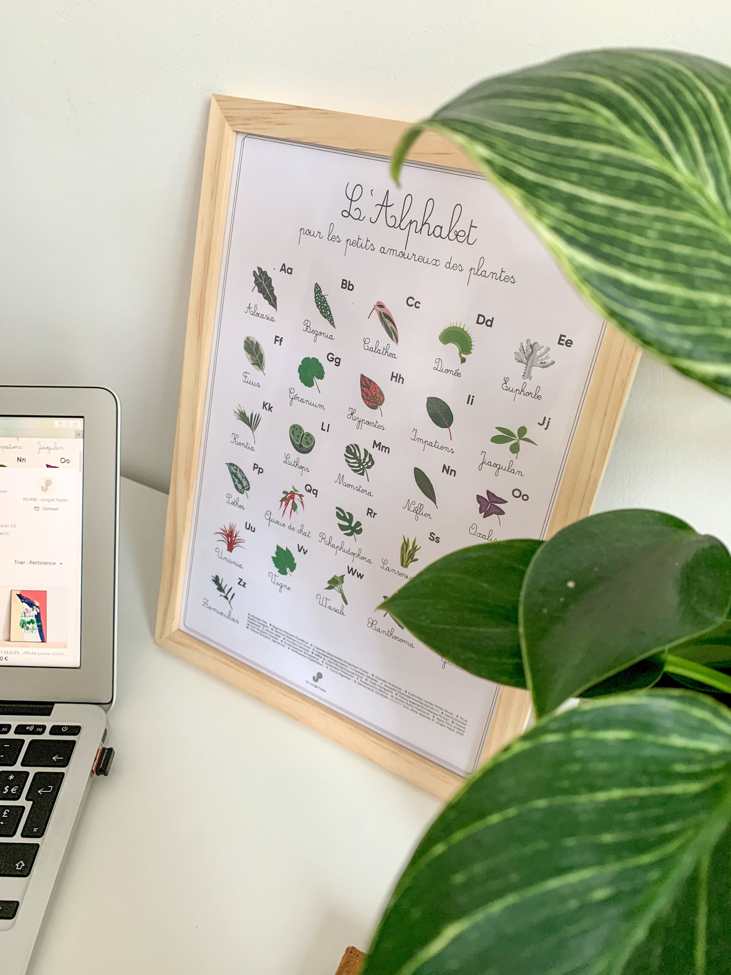 Affiche abécédaire plantes Jungle Paper
