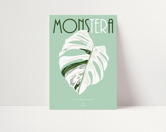 Affiche Monstera Deliciosa Variegata Jungle Paper