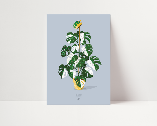Affiche Monstera Deliciosa The Queen Jungle Paper
