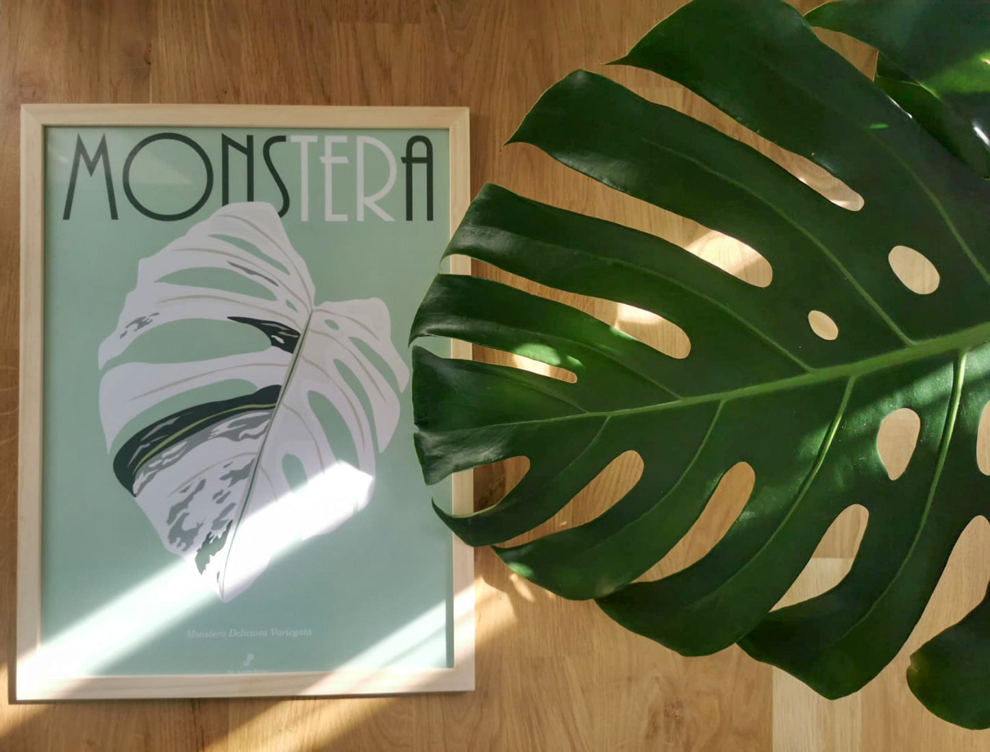 Affiche Monstera Deliciosa Variegata Jungle Paper