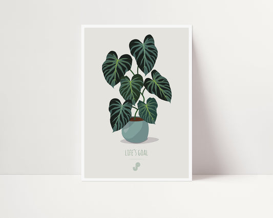 Affiche Philodendron Verrucosum Jungle Paper