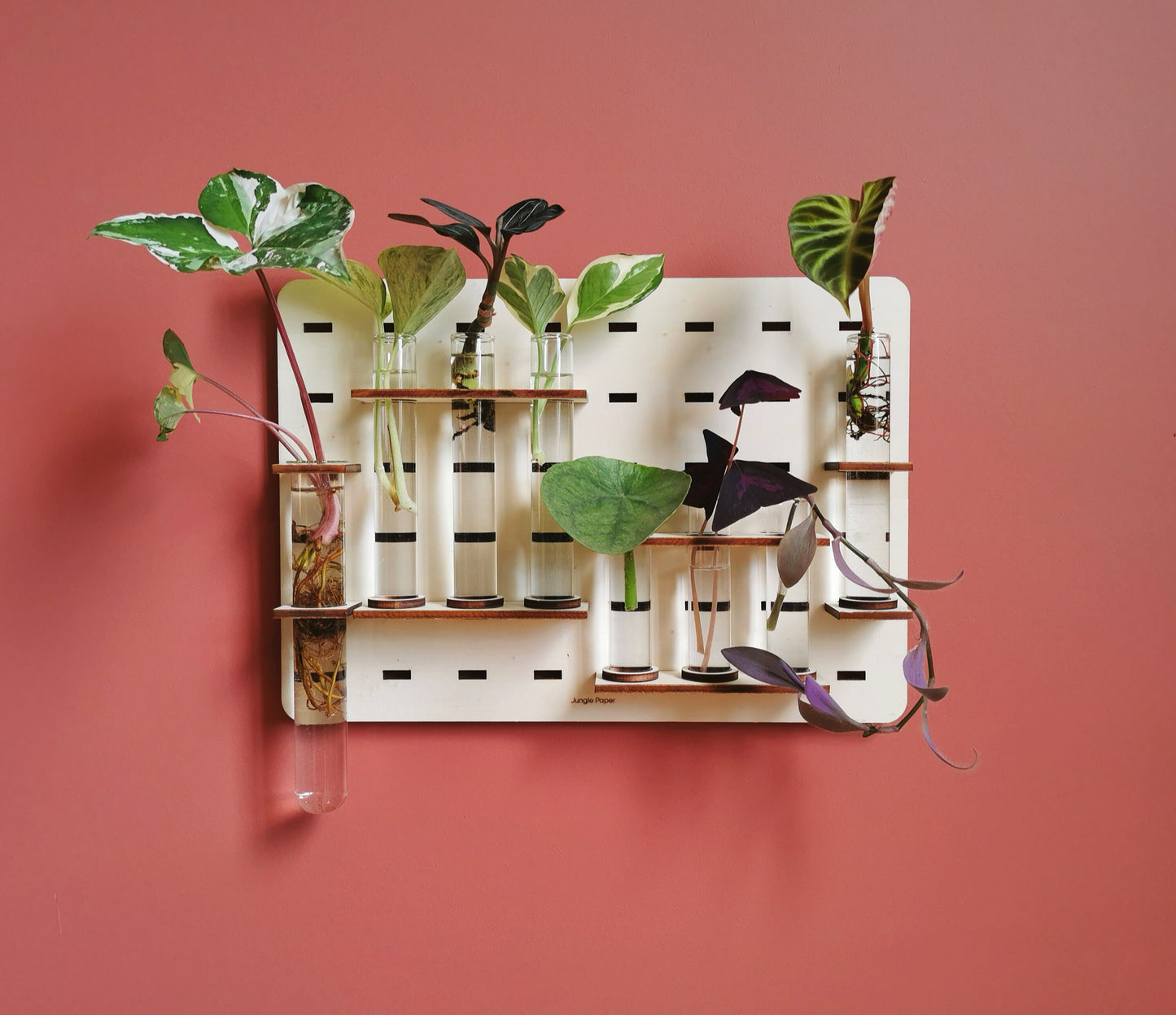 Station de bouturage - Grand format