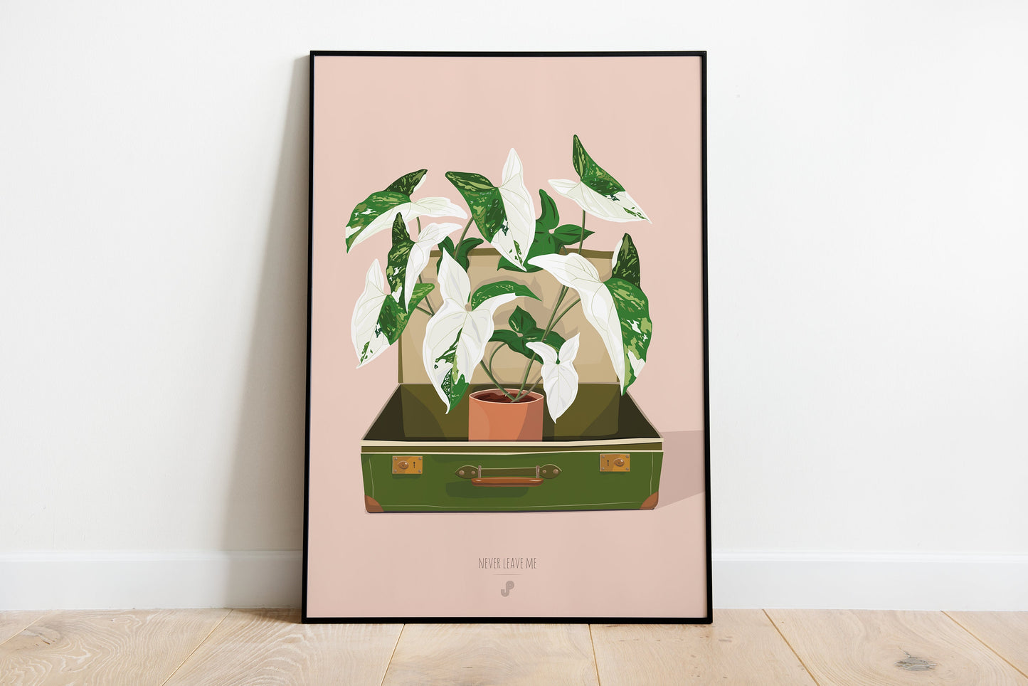 Affiche Syngonium Albo Variegata Jungle Paper