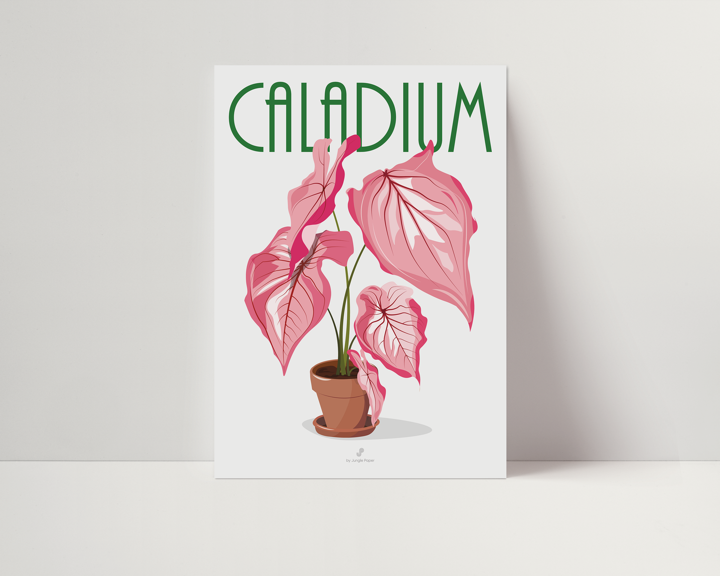 Affiche Caladium Rose Jungle Paper