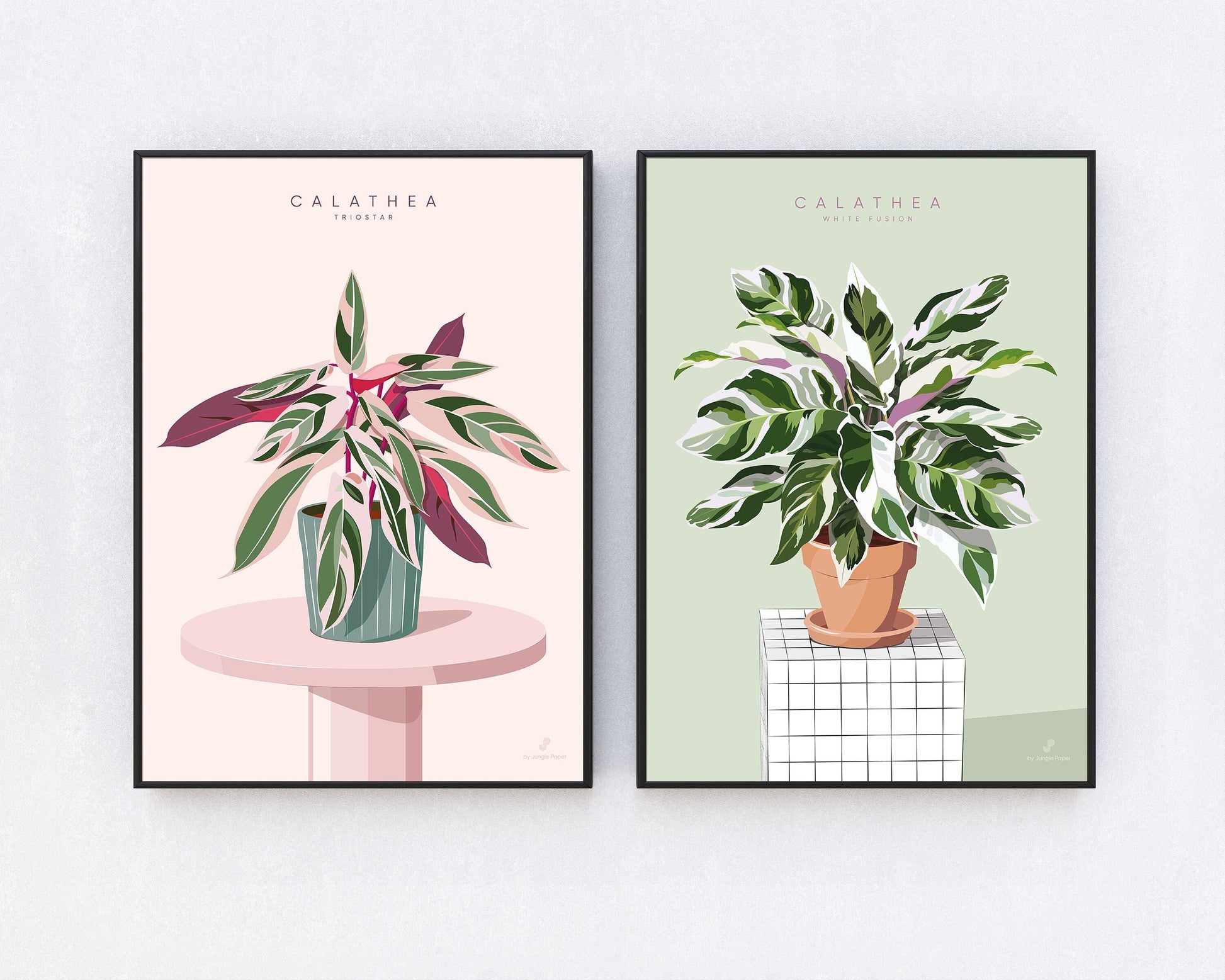 Affiche Calathea Jungle Paper