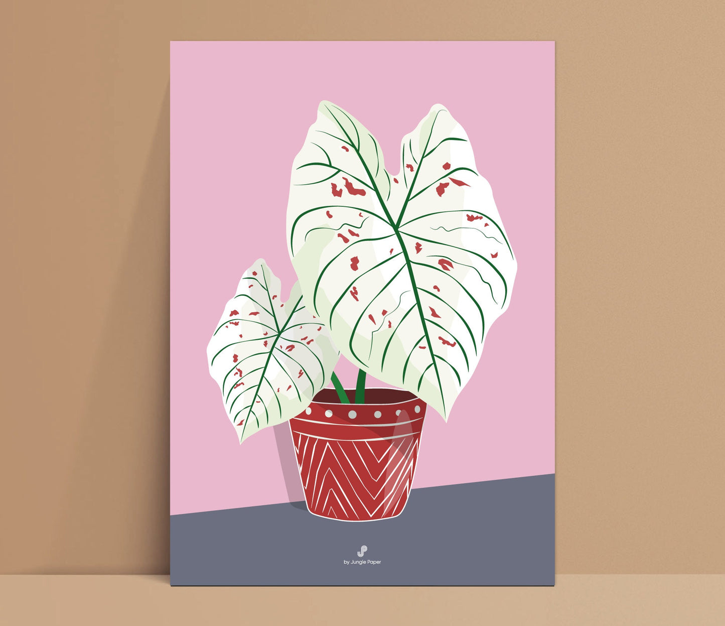 Affiche Caladium Strawberry star Jungle Paper