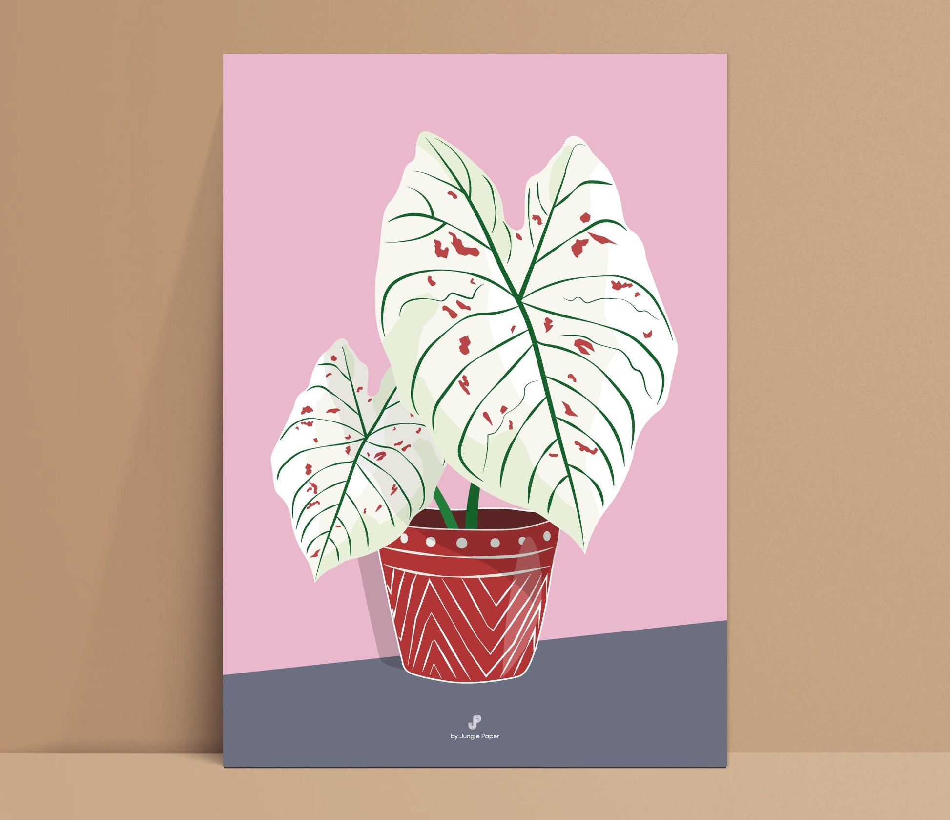 Affiche Caladium Strawberry star Jungle Paper