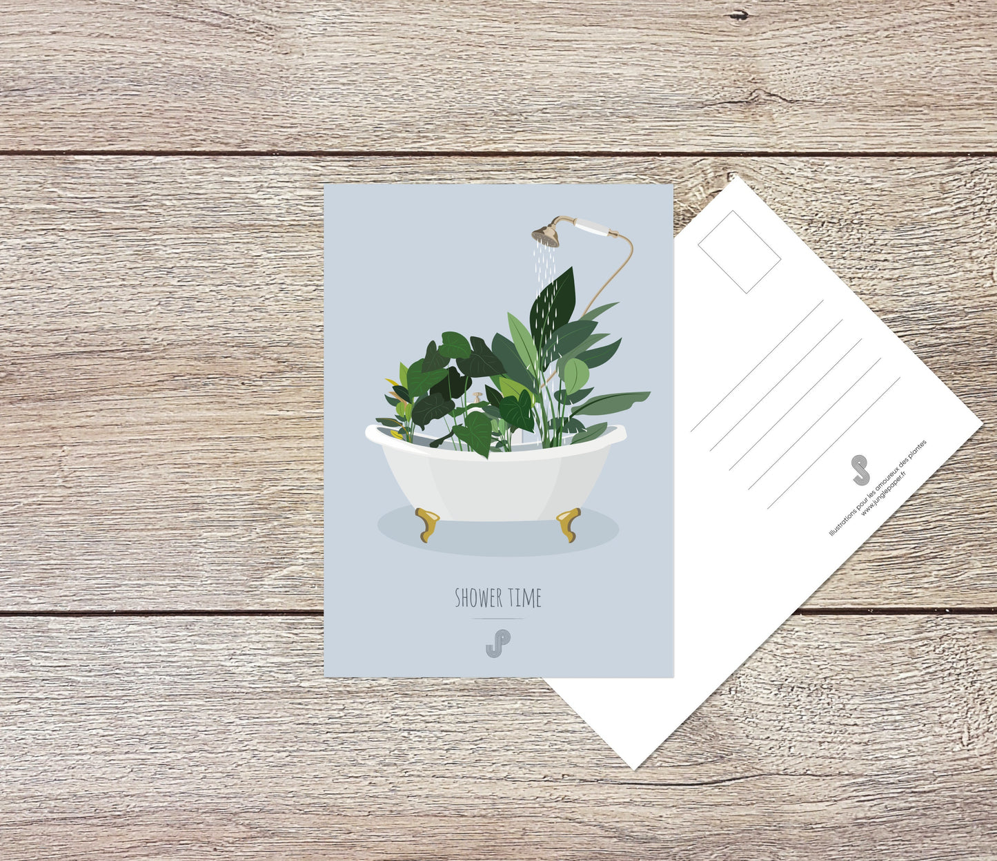 Lot 5 cartes postales - Format A6