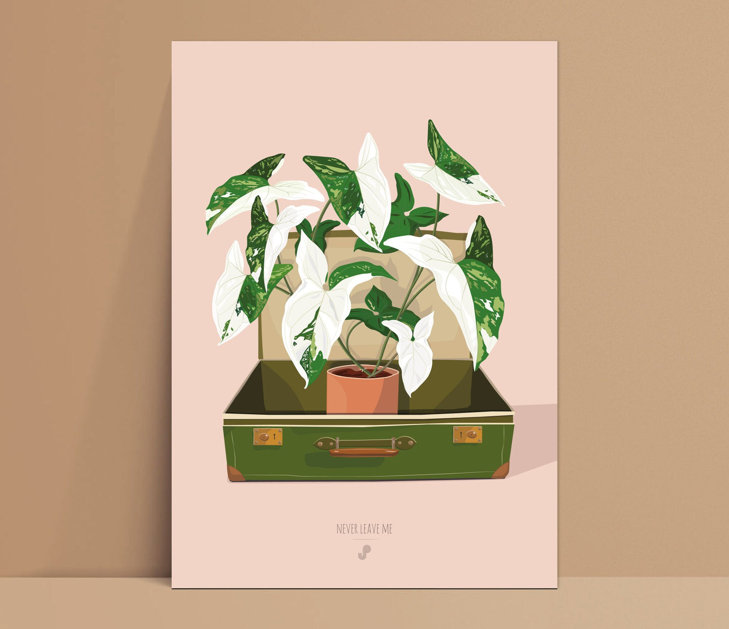 Affiche Syngonium Albo Variegata Jungle Paper