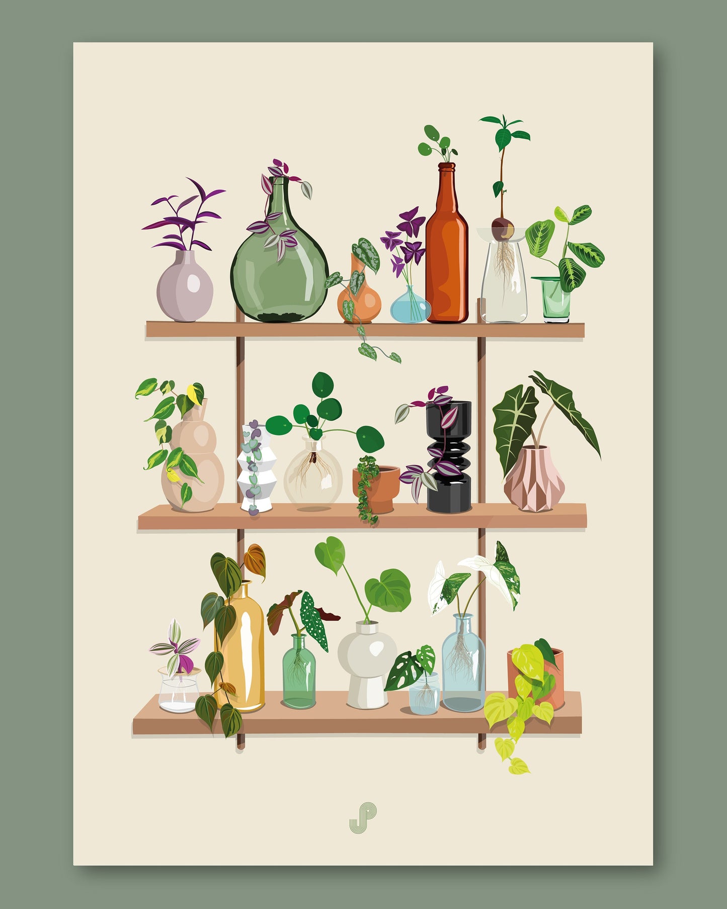 Affiche propagation plantes jungle paper