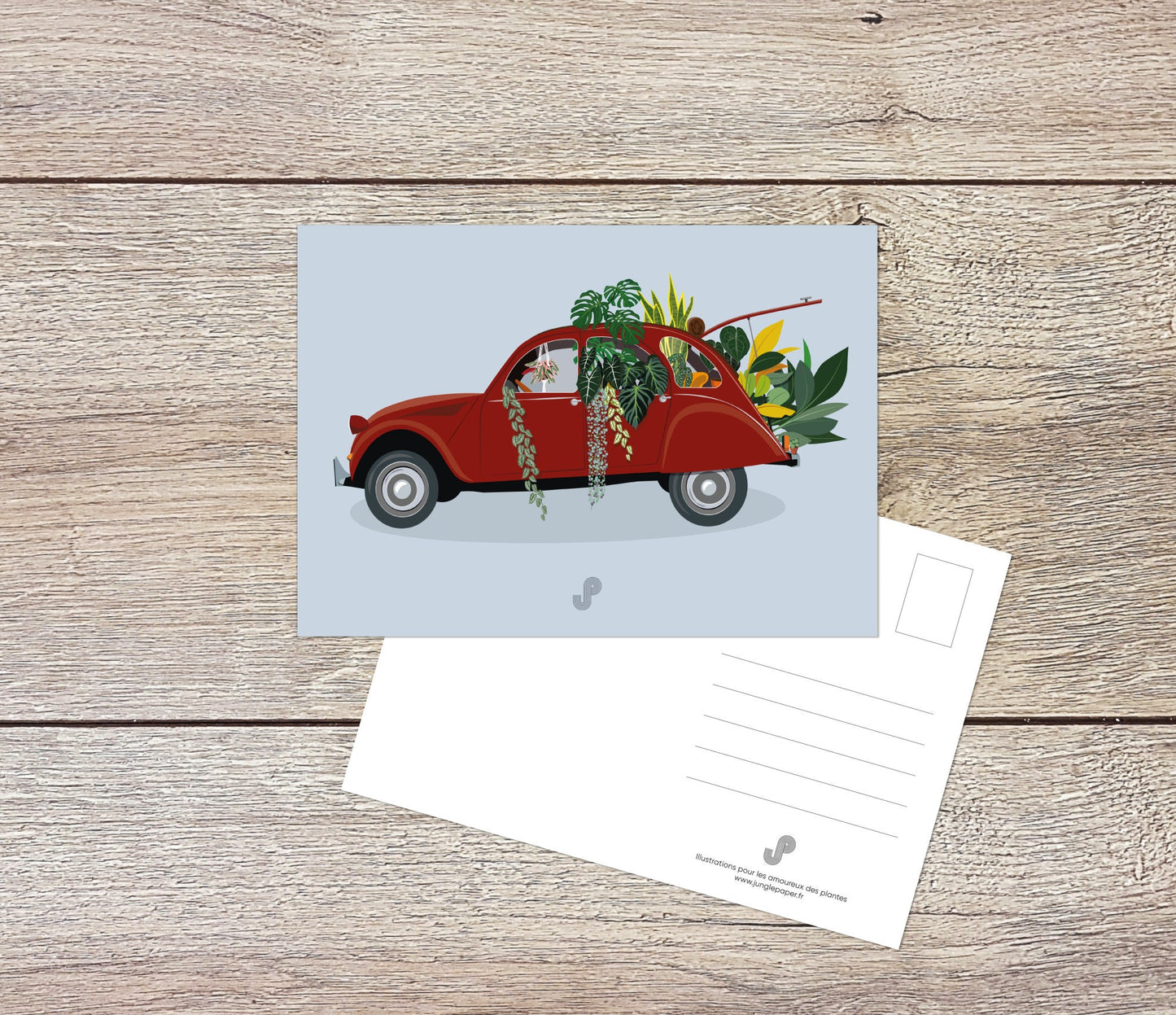 Lot 5 cartes postales - Format A6