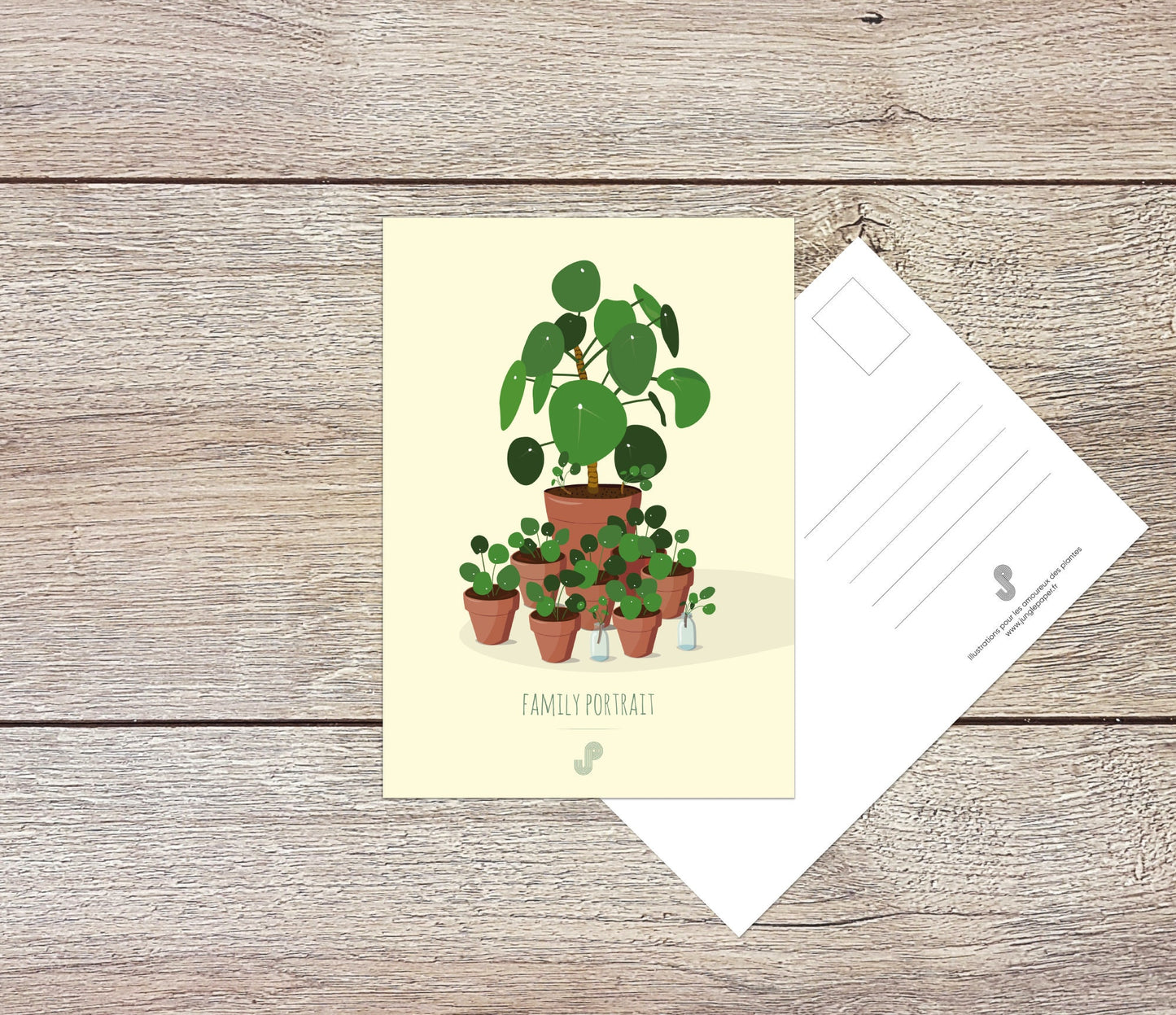 Lot 5 cartes postales - Format A6