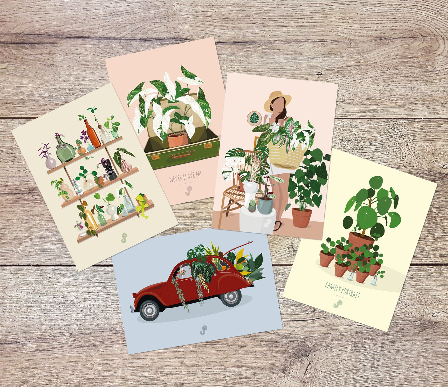 Lot 5 cartes postales - Format A6