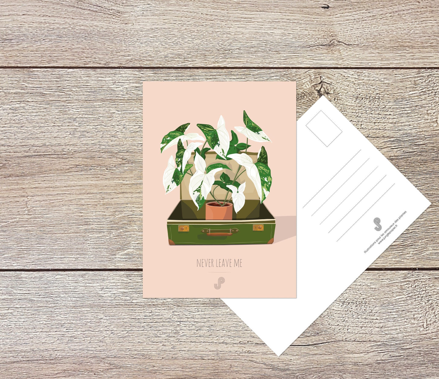 Lot 5 cartes postales - Format A6