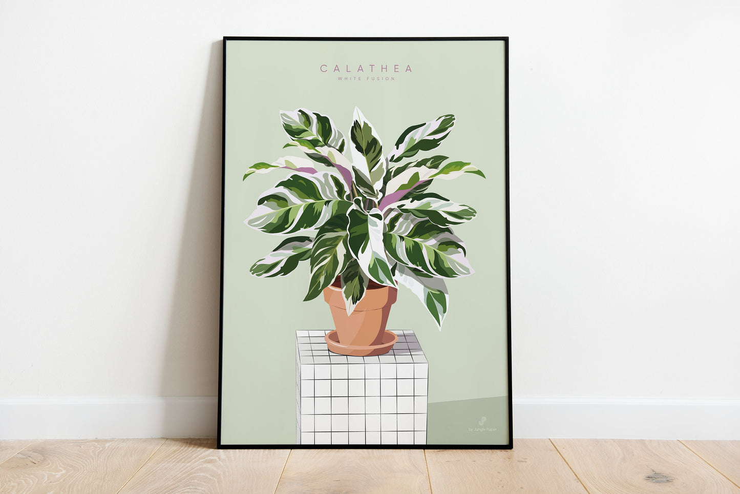 Affiche Calathea White Fusion Jungle Paper