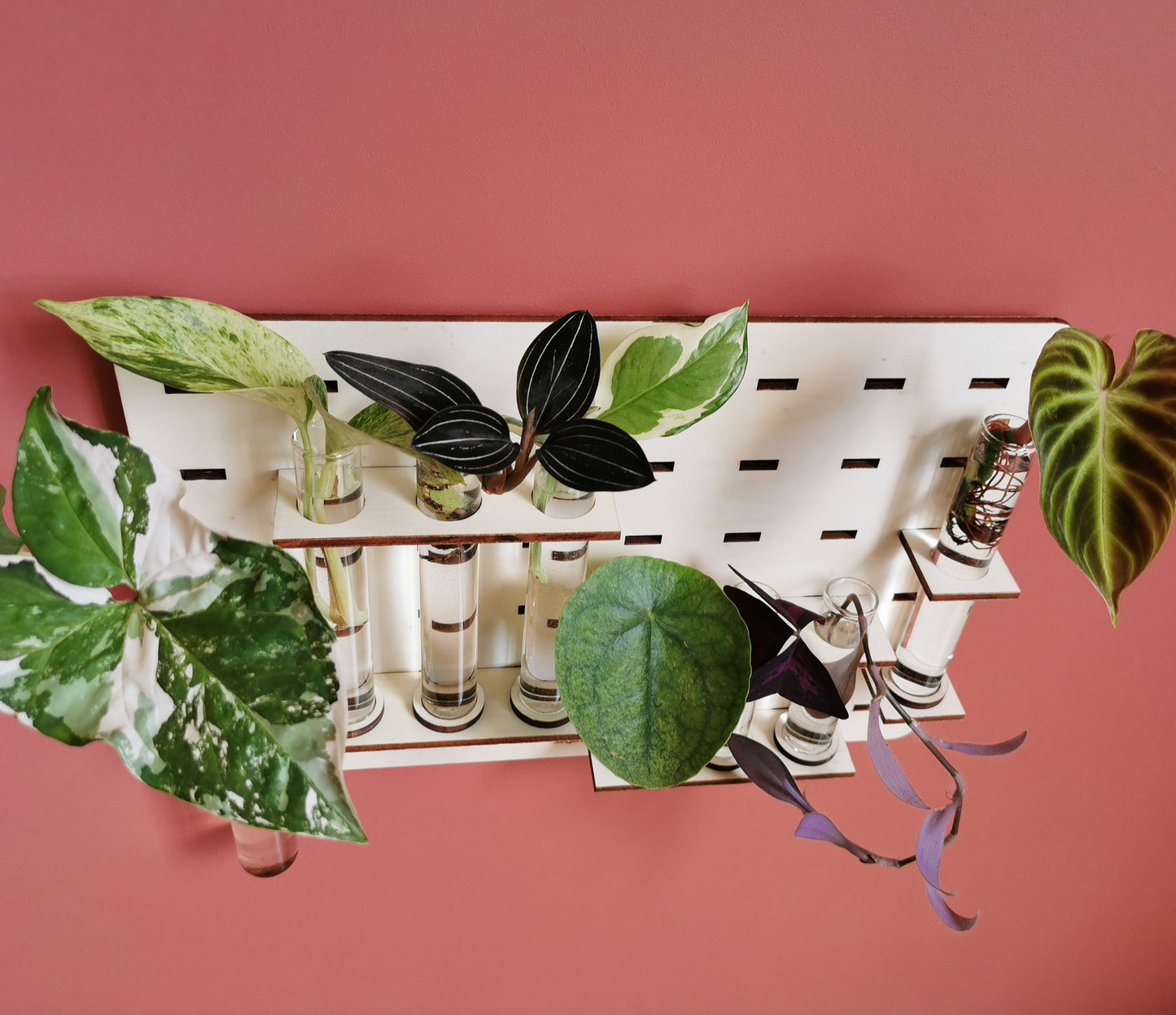 Station de bouturage - Grand format