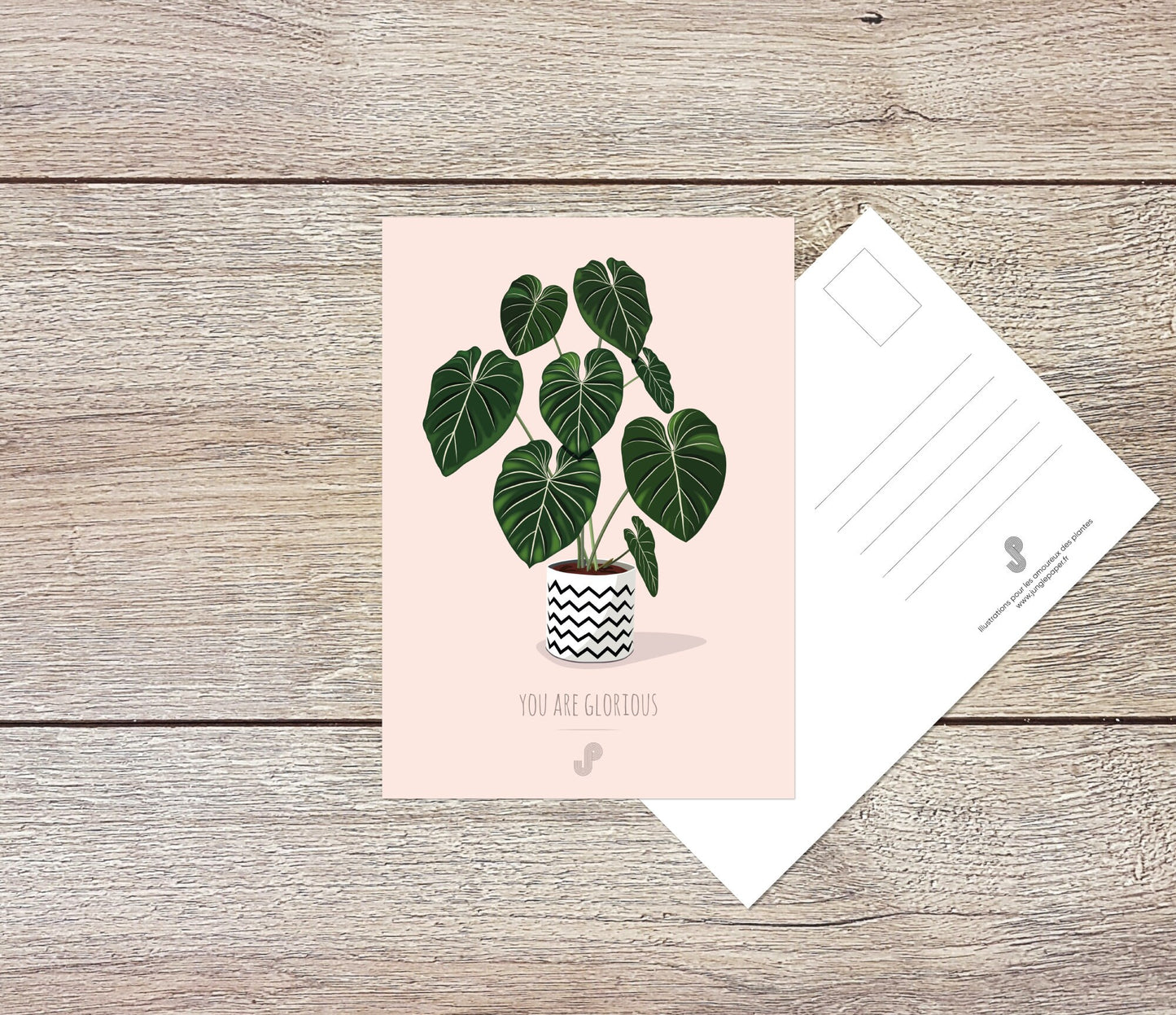 Lot 5 cartes postales - Format A6