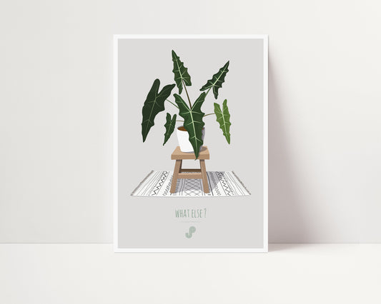 Affiche Alocasia Sarian Jungle Paper
