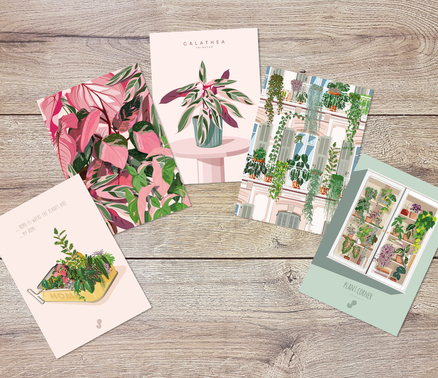Lot 5 cartes postales - Format A6