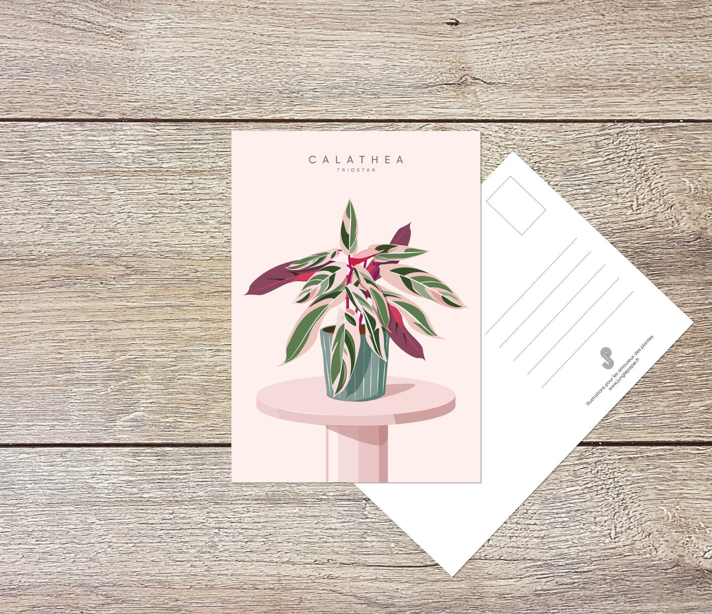 Lot 5 cartes postales - Format A6