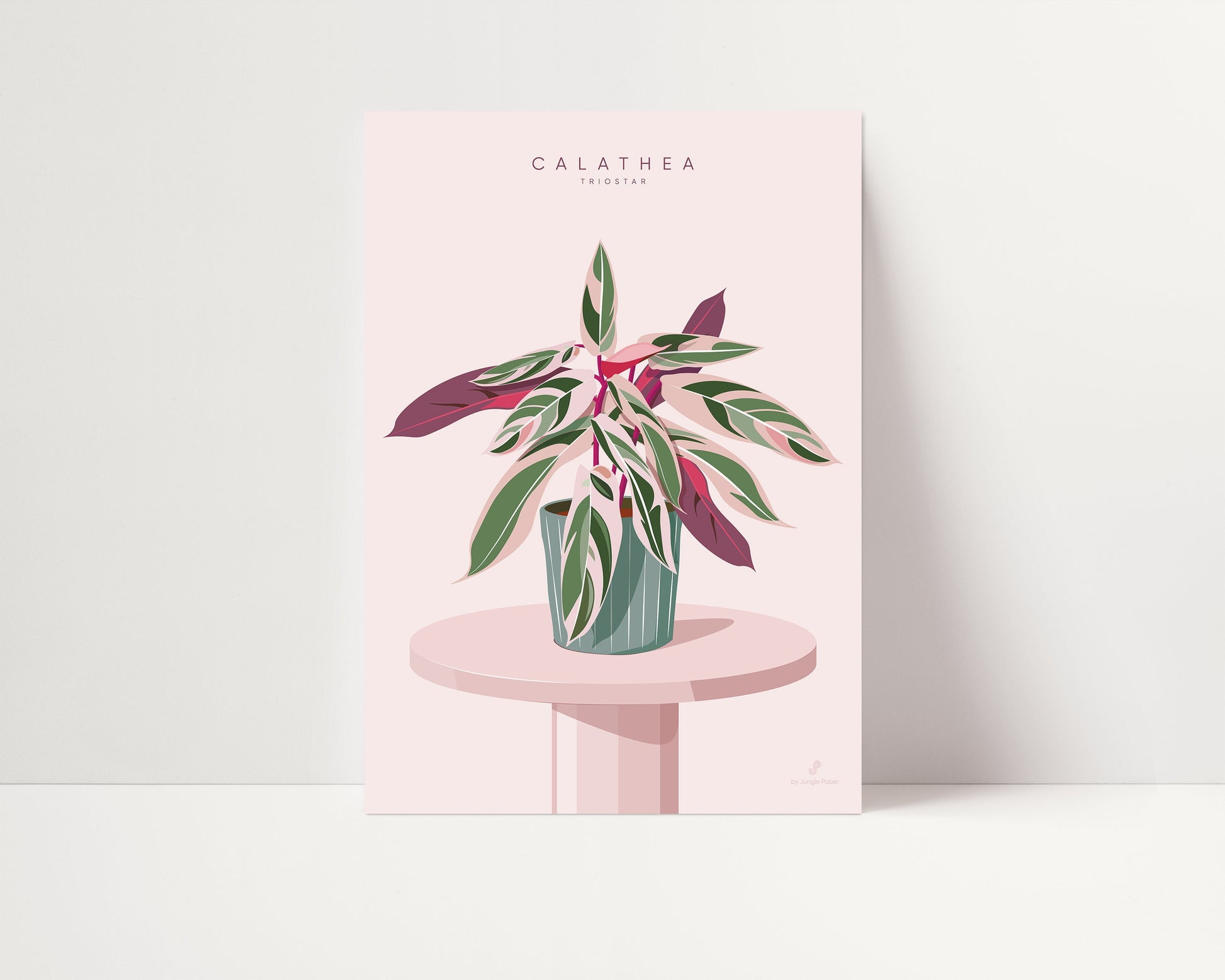 Affiche Calathea Jungle Paper