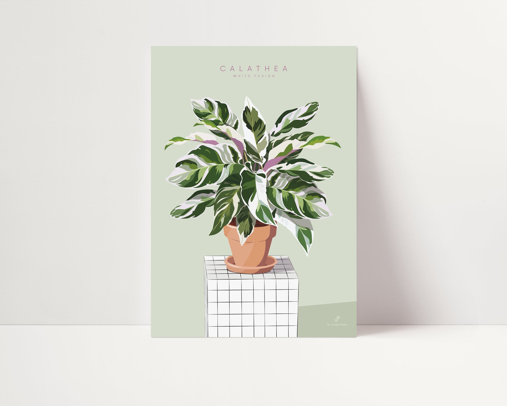 Affiche Calathea Jungle Paper