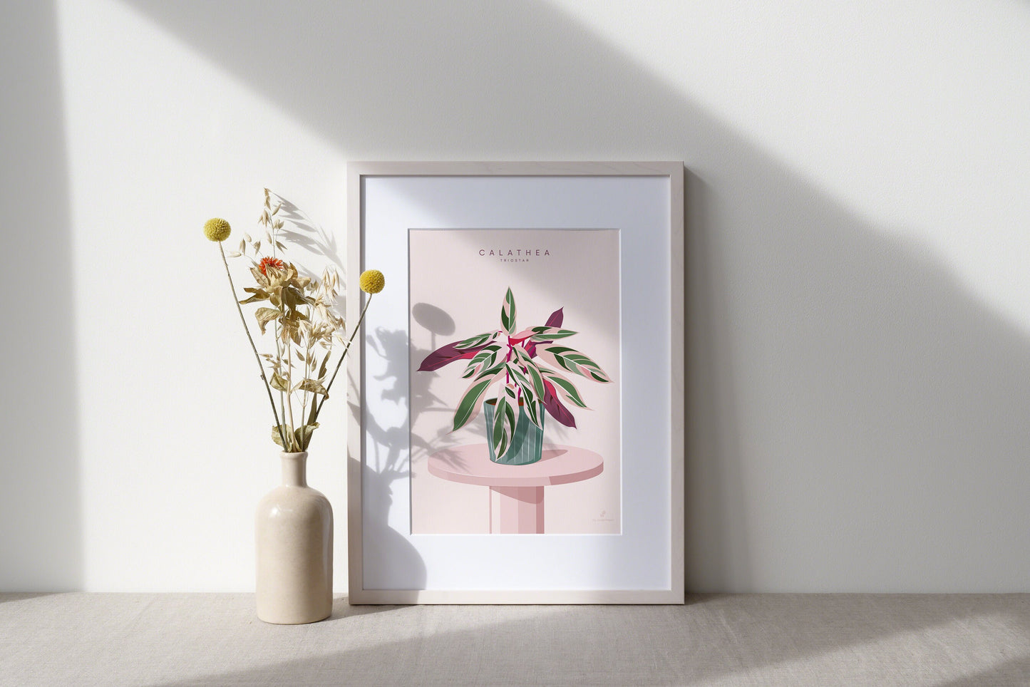 Affiche Calathea Triostar Jungle Paper