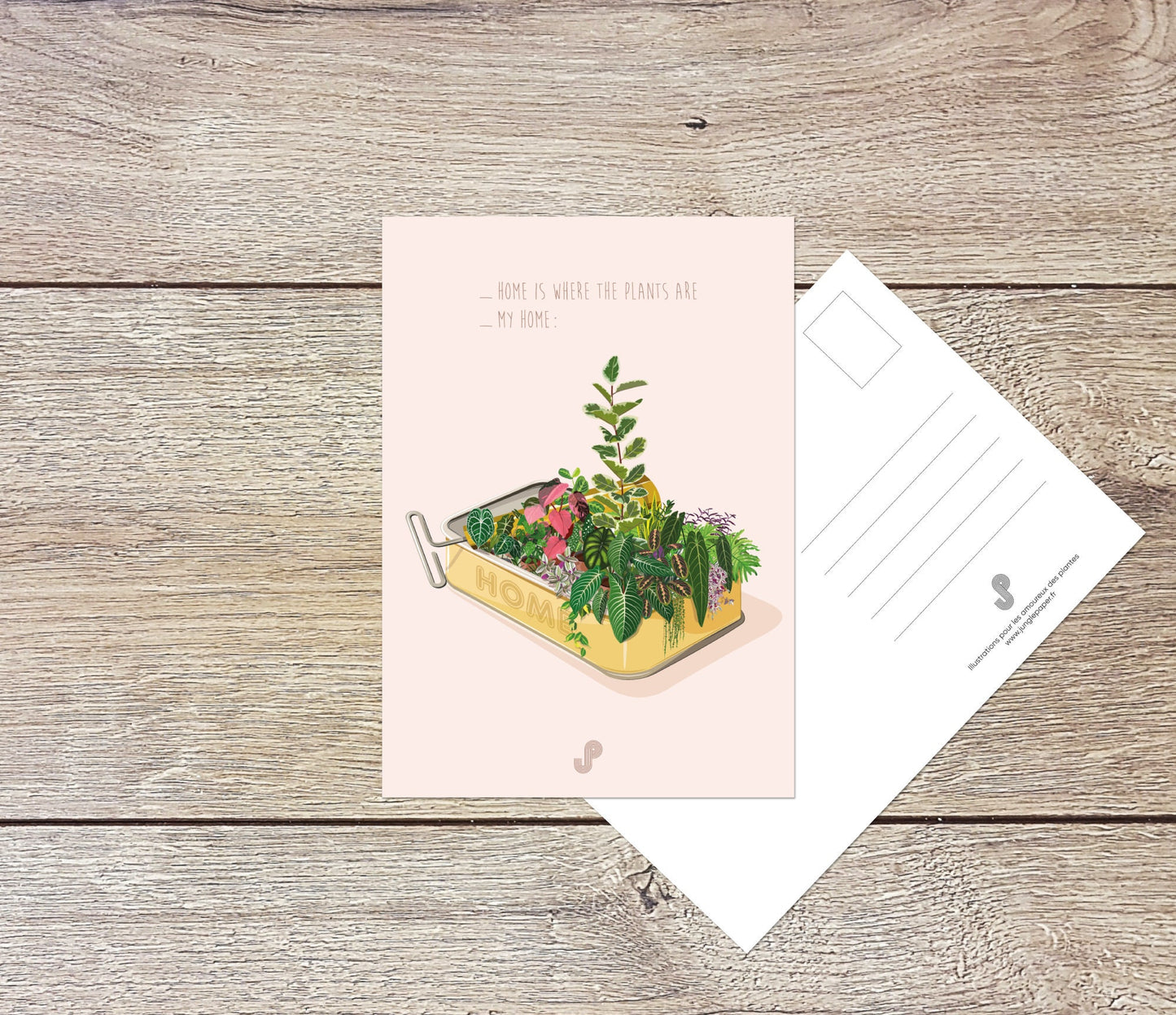 Lot 5 cartes postales - Format A6