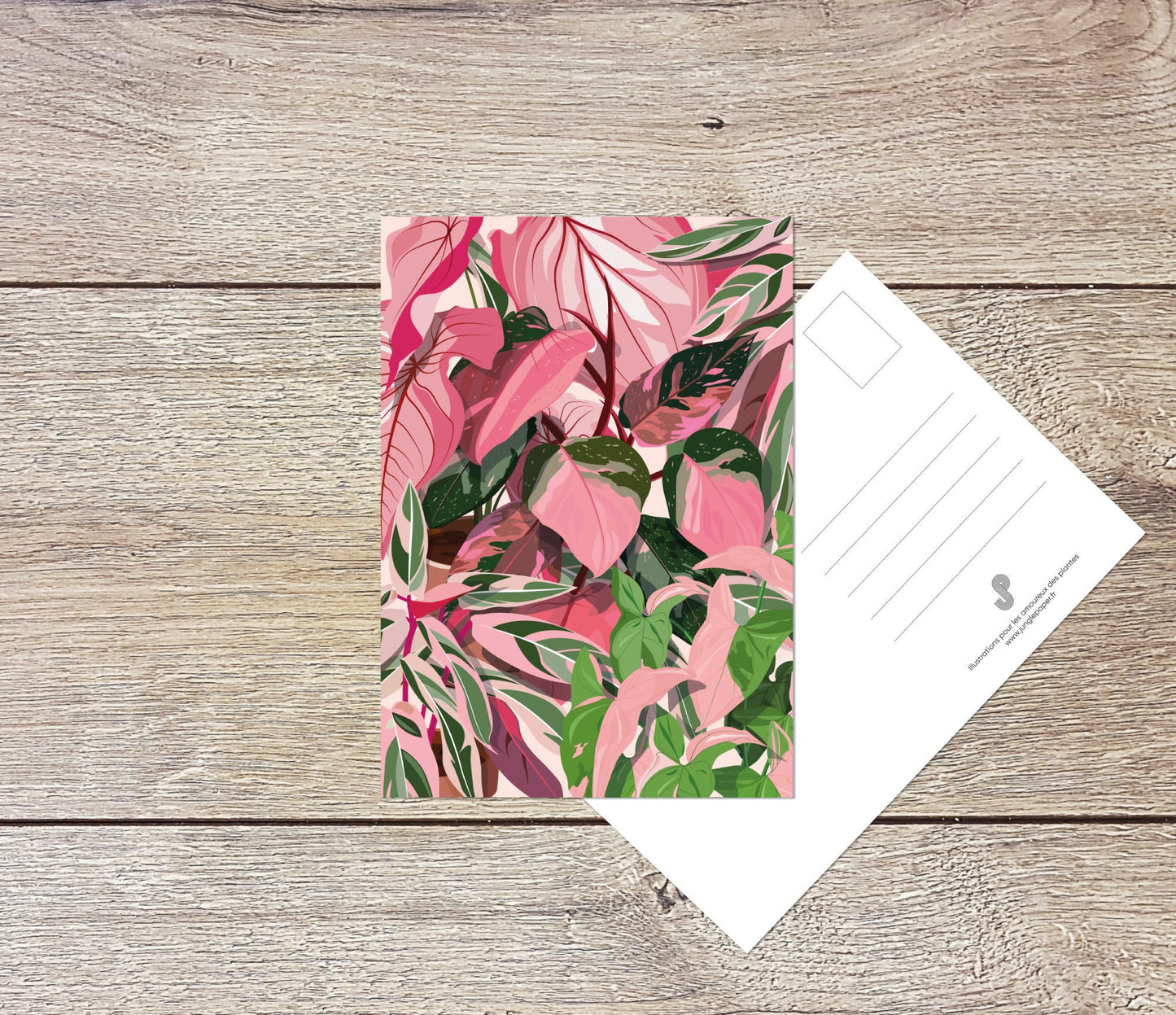 Lot 5 cartes postales - Format A6