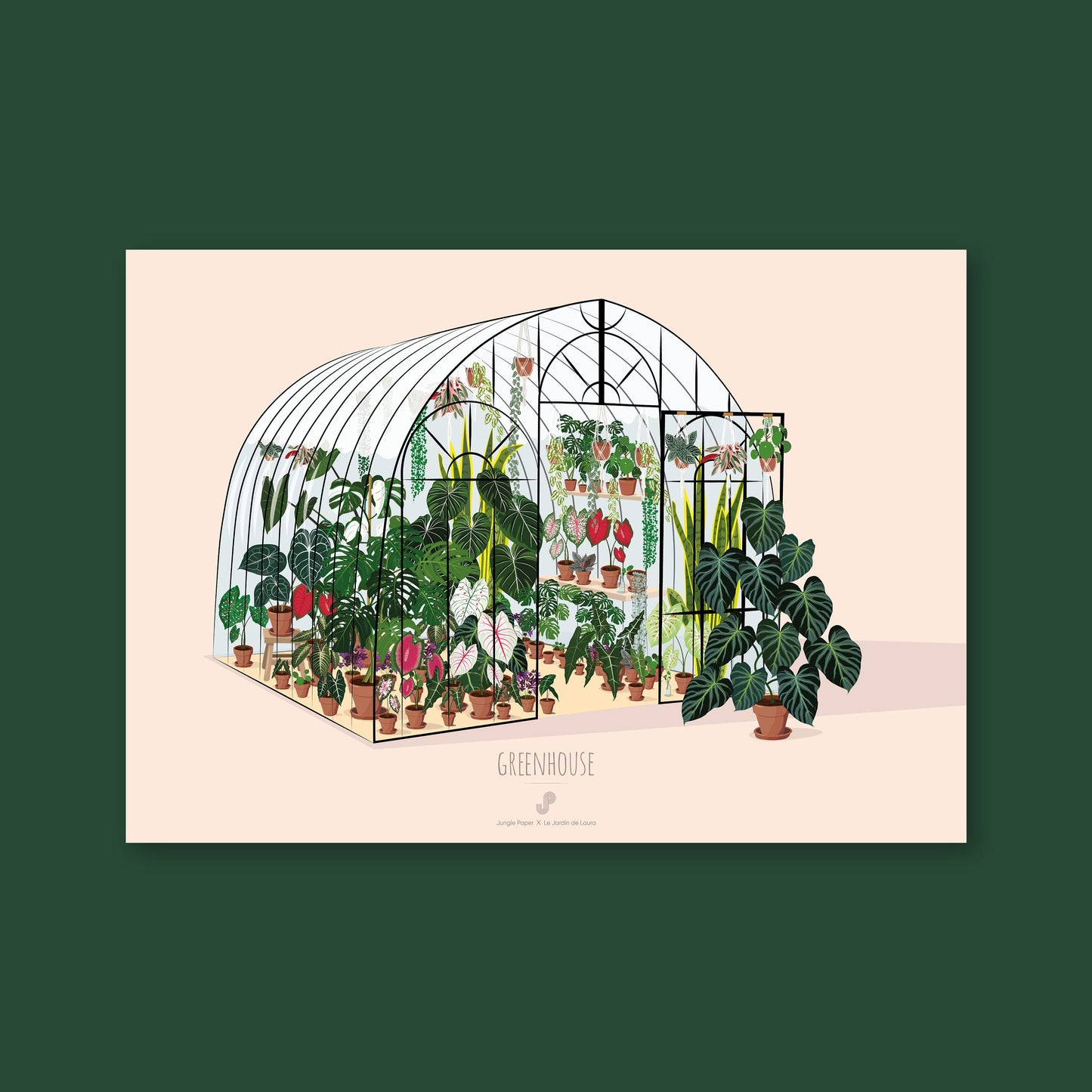Affiche Serre de plantes Jungle Paper