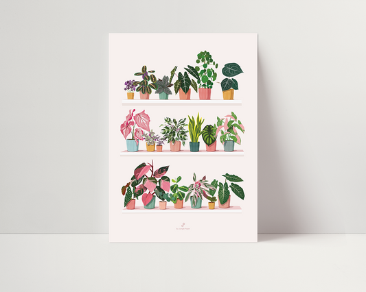 Affiche Plant shelf