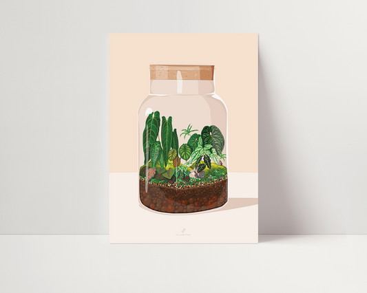 Terrarium plantes Jungle Paper