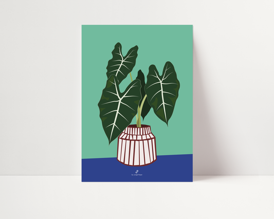 Affiche plante Alocasia Frydek Jungle Paper