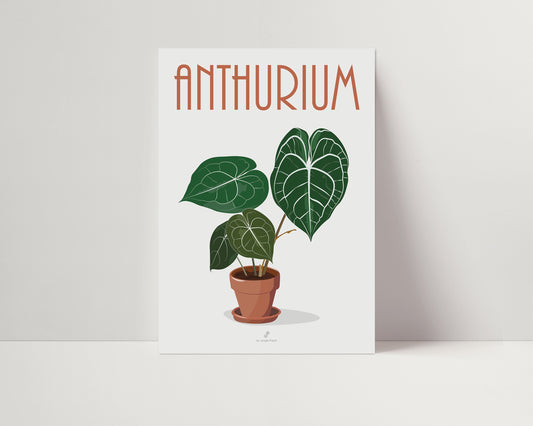 Affiche Anthurium Clarinervium Jungle Paper