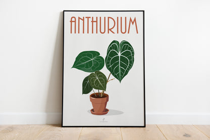 Affiche Anthurium Clarinervium Jungle Paper