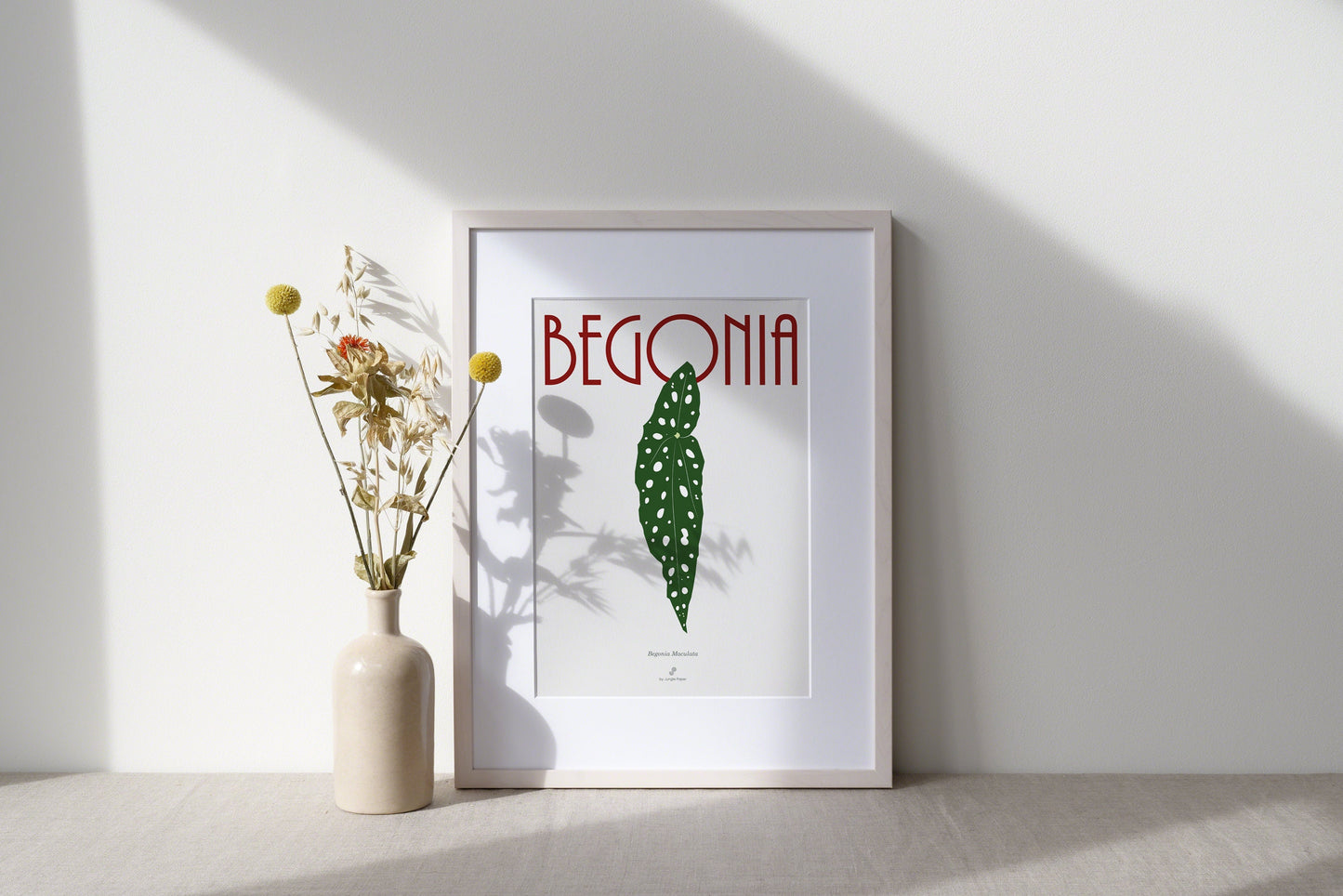 Affiche Bégonia Maculata Jungle Paper
