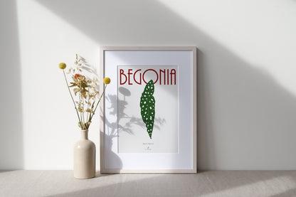 Affiche Bégonia Maculata Jungle Paper