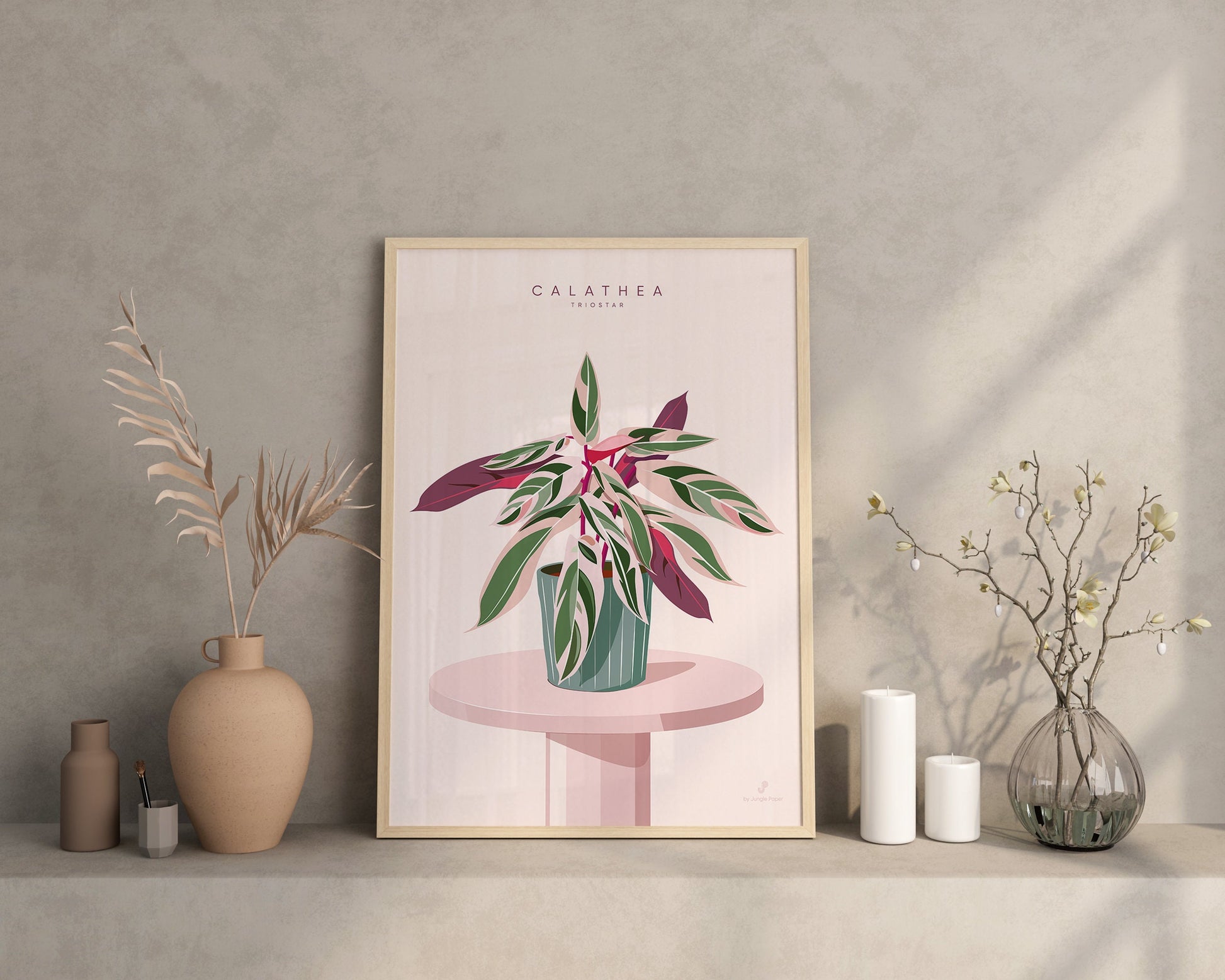 Affiche Calathea Triostar Jungle Paper
