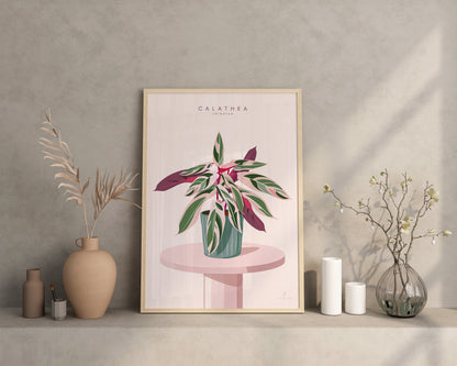 Affiche Calathea Triostar Jungle Paper