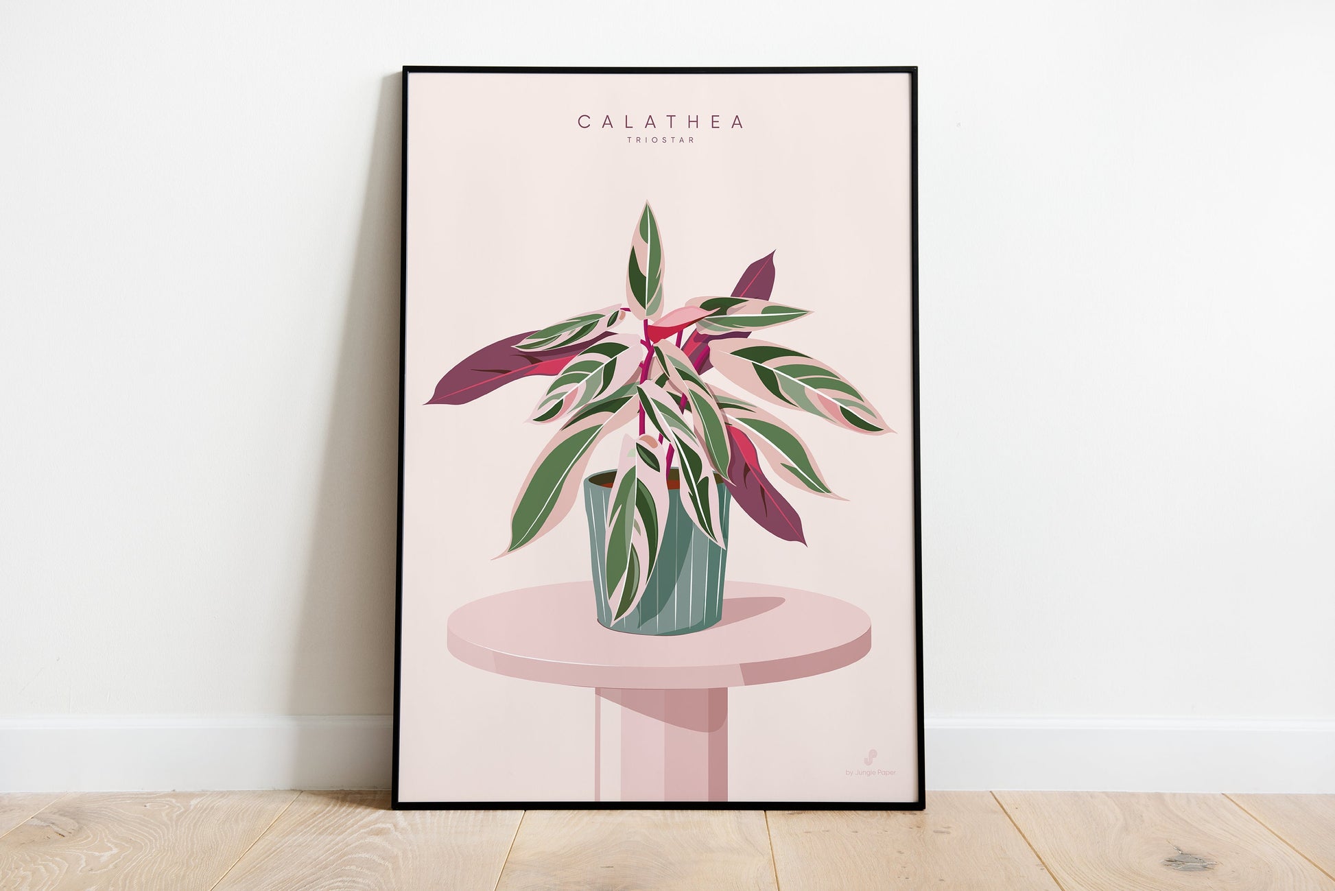 Affiche Calathea Triostar Jungle Paper