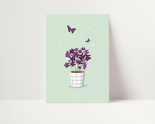 Affiche Oxalis Triangularis Jungle Paper